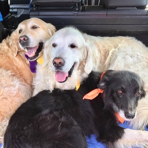 Bentley & Pippa Enstone